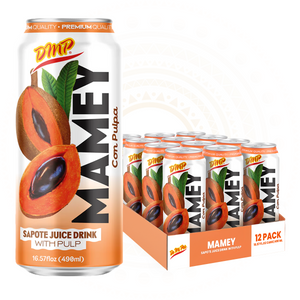 Mamey Sapote Juice | Zapote with Pulp & Fruit Chunks, 16.57 Fl Oz